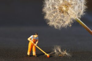 Spring Cleaning With Bridgwater Storage