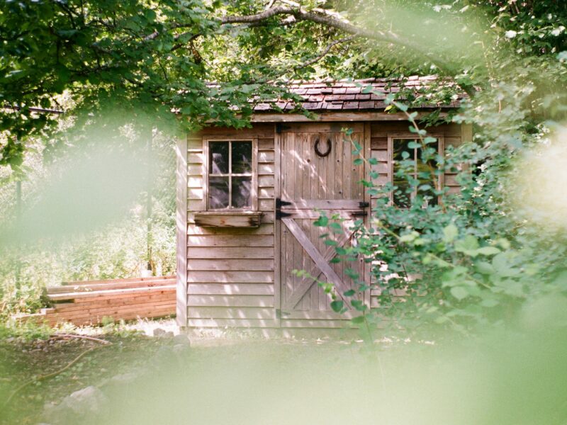 Shed in Garden