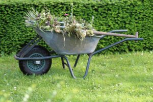 wheelbarrow in Garden